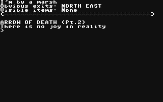 Adventure 4 - Arrow of Death II