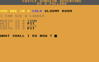 Castle Dungeon Adventure