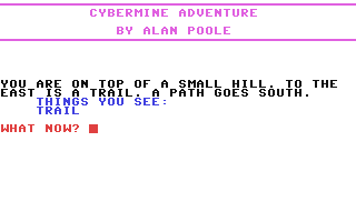 Cybermine Adventure