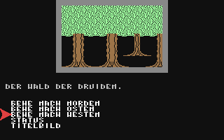 Geheimnis der Druiden, Das