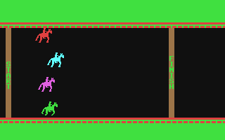 Horse Race