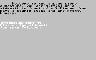 Insane Story Adventure - Commodore 64 game