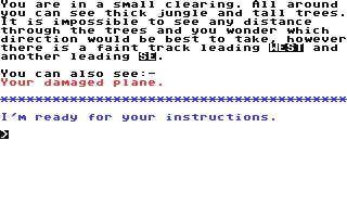 Lost in the Amazon - Commodore 64 game
