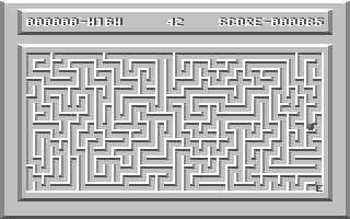 Maze Run