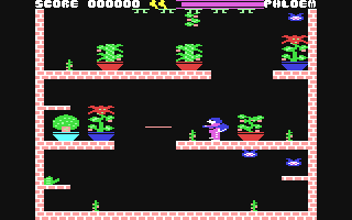 Microcosm - Commodore 64 game