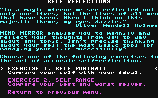 Mind Mirror - Commodore 64 game