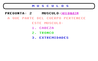 Musculos