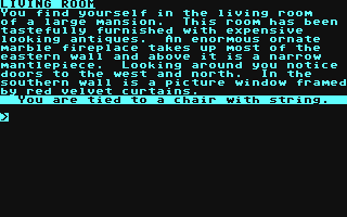 Million Dollar Great Jewel Heist, The - Commodore 64 game