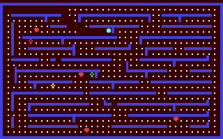 Pacadot Maze