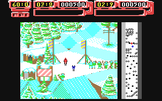 Professional Ski Simulator