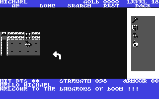 Rogue - Commodore 64 game