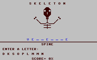 Skeleton