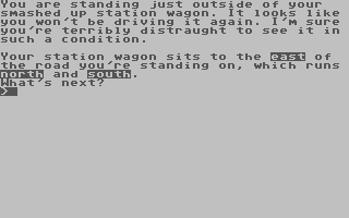 Station Wagon Blues - Commodore 64 game