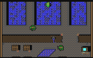 Teenage Mutant Ninja Turtles, The - Commodore 64 game
