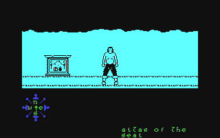 Tir Na Nog - Commodore 64 game