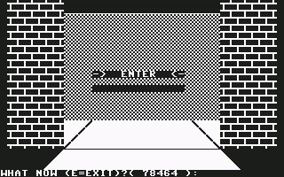 Treasure Raiders - Commodore 64 game